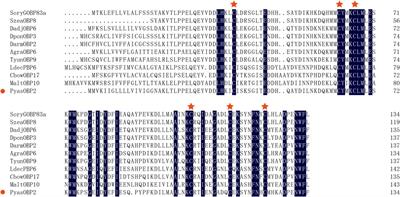 Functional Characterization of Odorant Binding Protein PyasOBP2 From the Jujube Bud Weevil, Pachyrhinus yasumatsui (Coleoptera: Curculionidae)